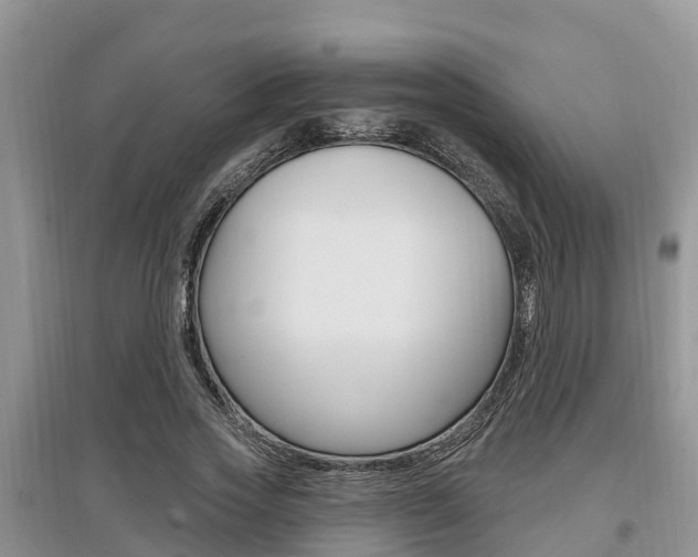 X0000097910733200803141029
