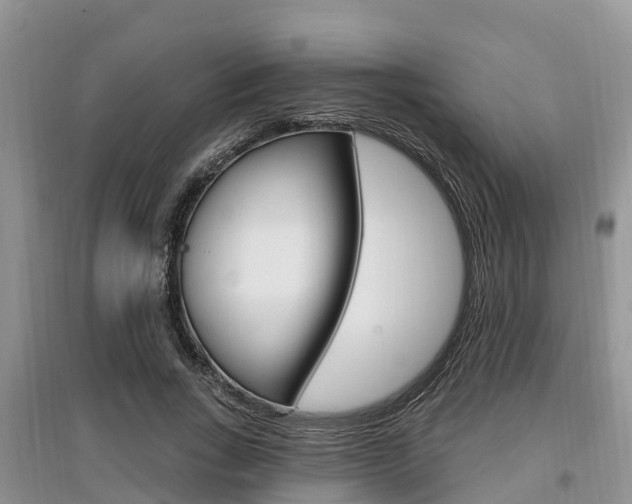 X0000097910735200803141029