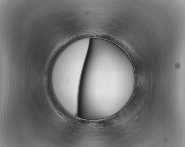 X0000097910736200803141029