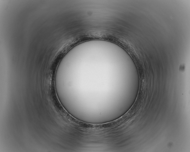 X0000097910739200803141029