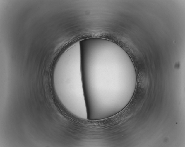 X0000097910740200803141029
