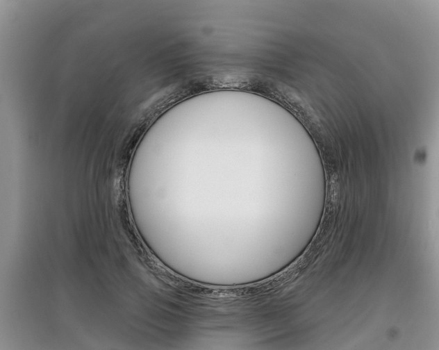 X0000097910741200803141029
