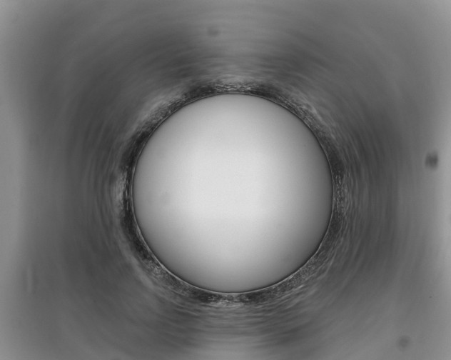 X0000097910742200803141029