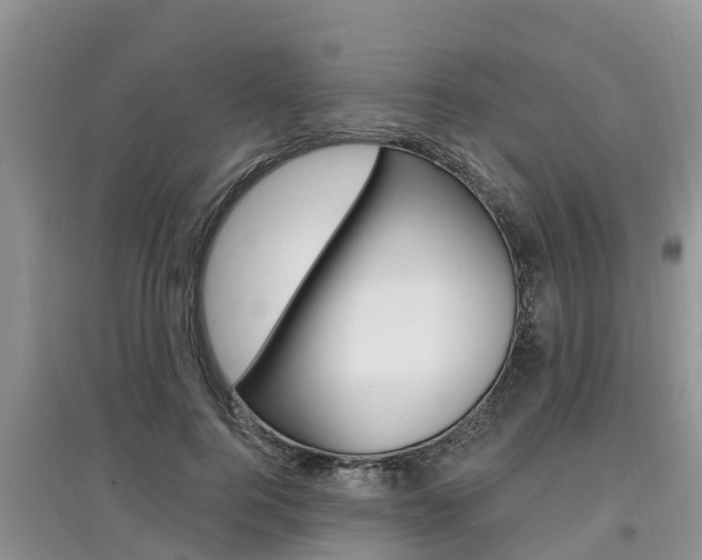 X0000097910744200803141029