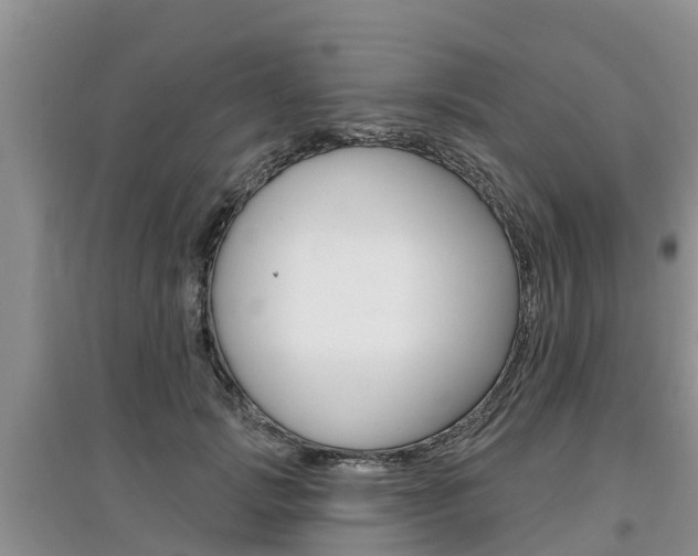 X0000097910749200803141029