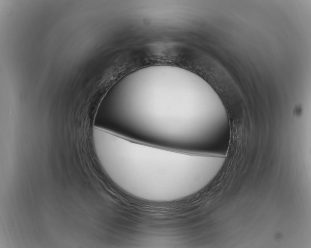 X0000097910752200803141029