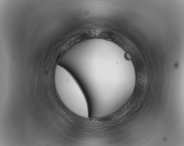 X0000097910754200803141029
