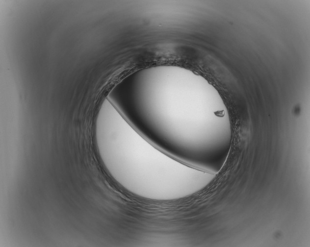X0000097910756200803141029