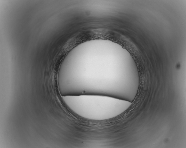 X0000097910757200803141029