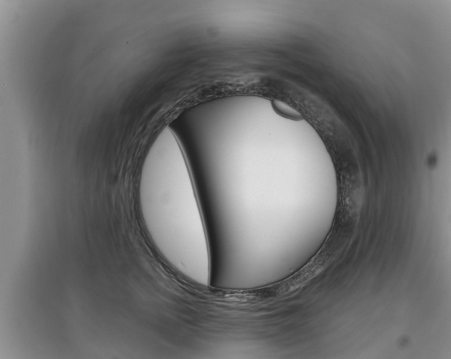 X0000097910758200803141029