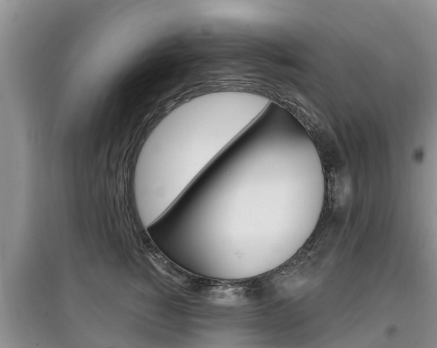X0000097910760200803141029