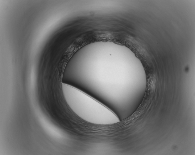 X0000097910764200803141029