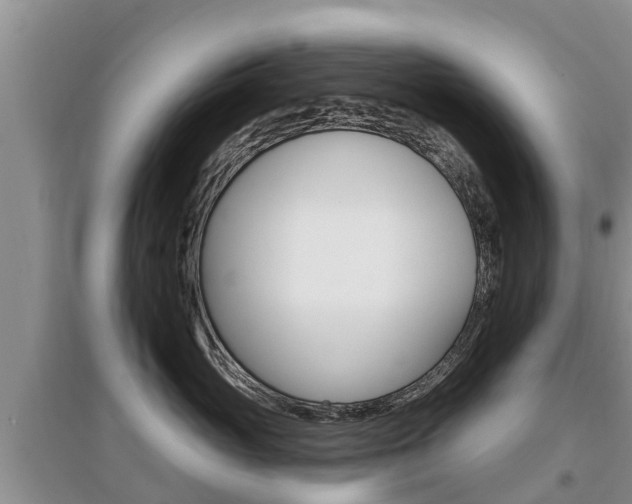 X0000097910765200803141029