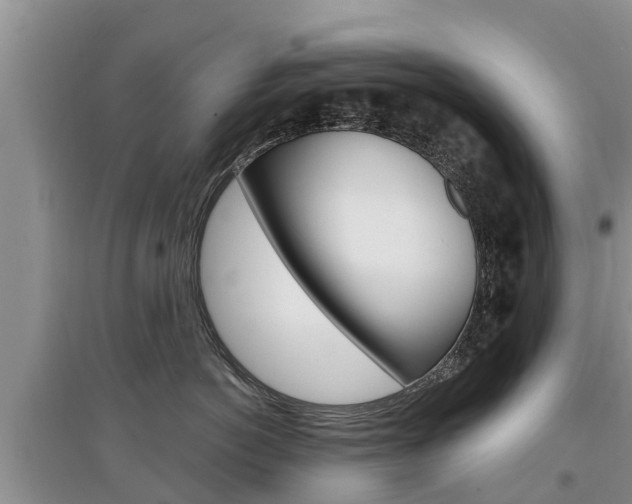 X0000097910766200803141029