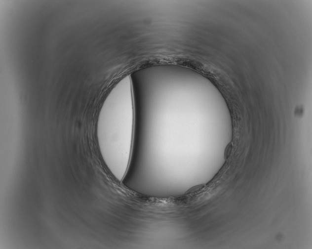 X0000097910768200803141029