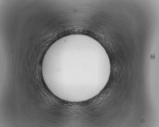 X0000097910769200803141028
