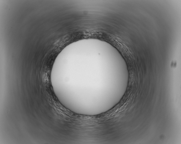 X0000097910770200803141028