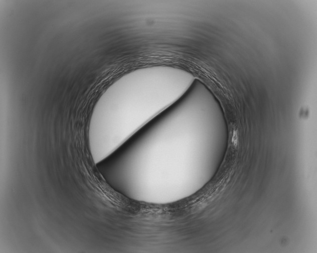 X0000097910771200803141028