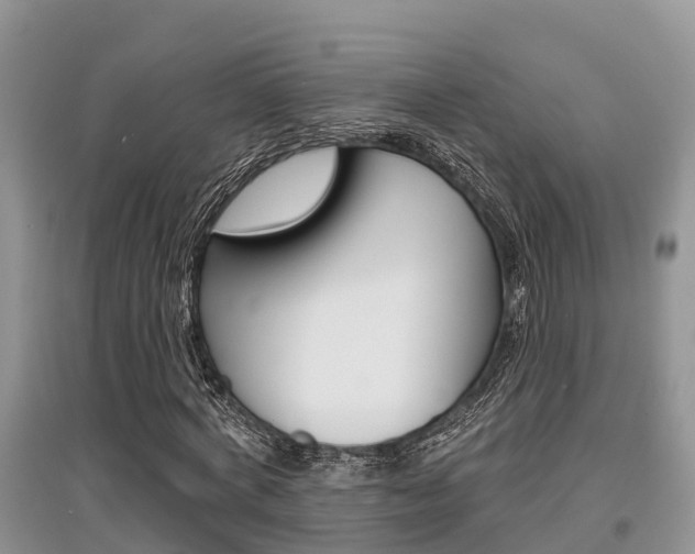 X0000097910772200803141028