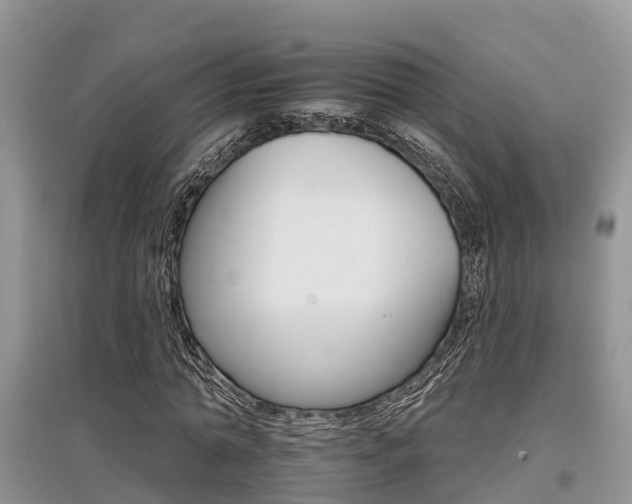 X0000097910774200803141028