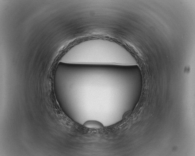 X0000097910776200803141028
