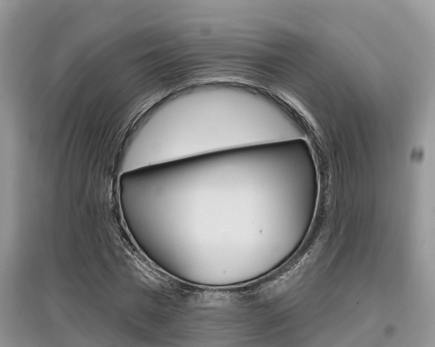 X0000097910777200803141028