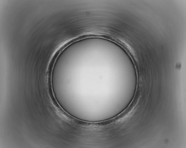 X0000097910779200803141028
