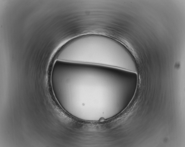 X0000097910780200803141028