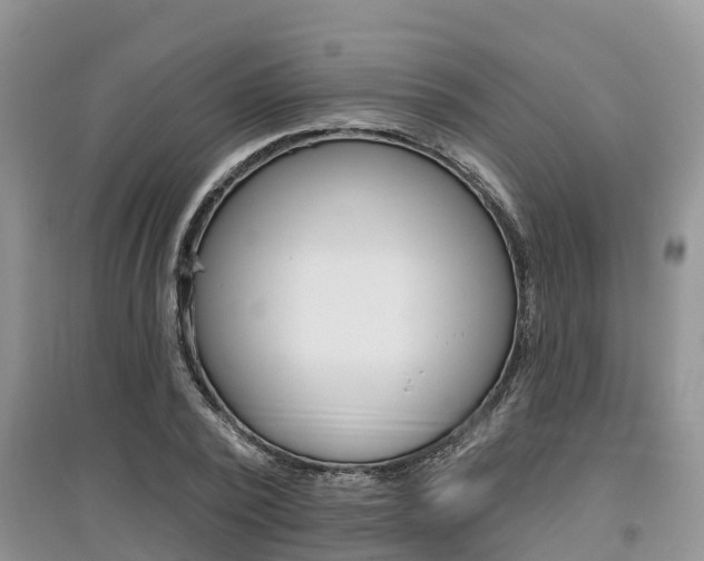X0000097910784200803141028