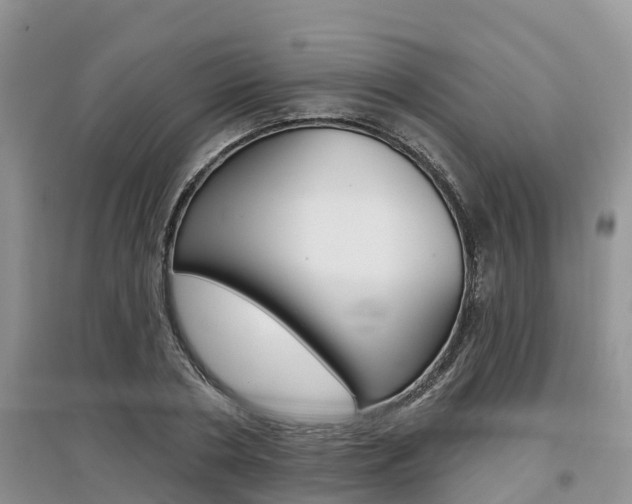 X0000097910786200803141028