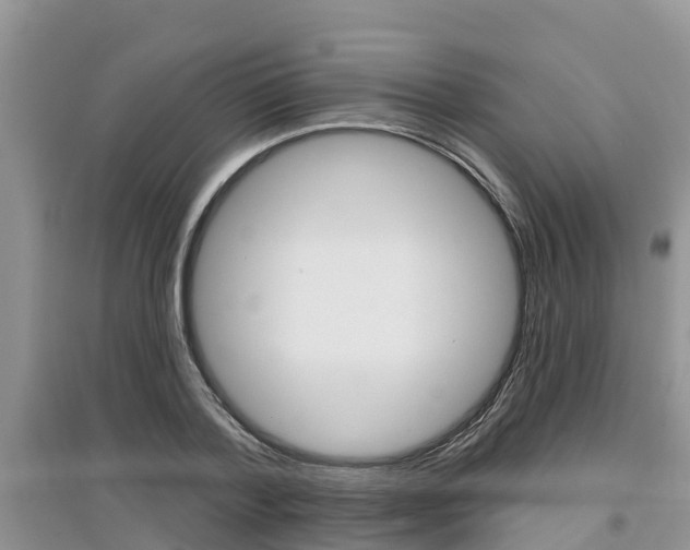 X0000097910788200803141028