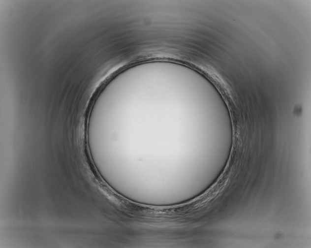 X0000097910790200803141028
