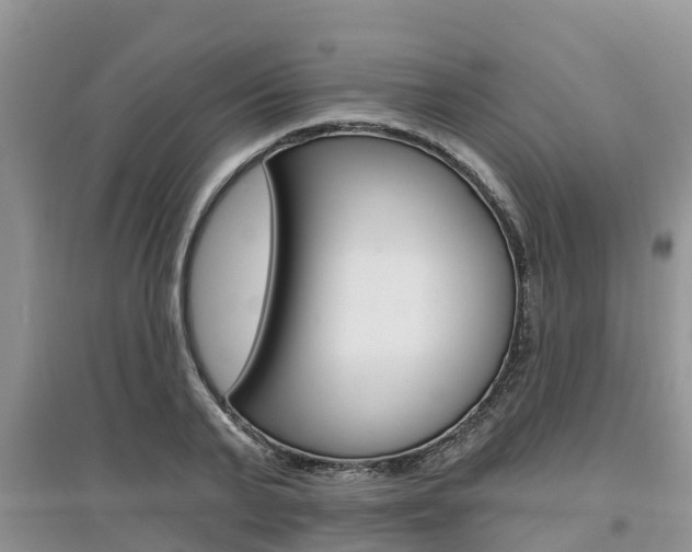 X0000097910791200803141028