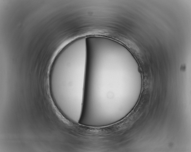X0000097910792200803141028