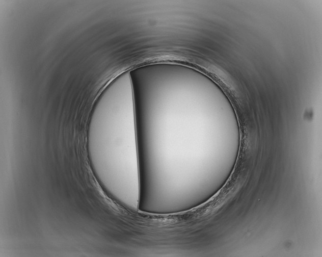 X0000097910793200803141028