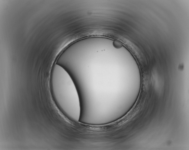 X0000097910794200803141028