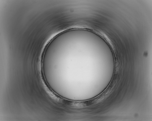 X0000097910795200803141028