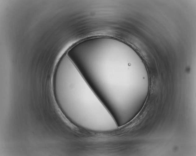 X0000097910796200803141028