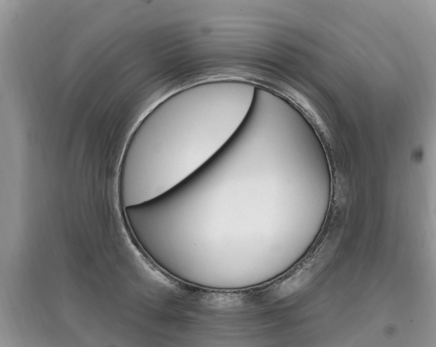 X0000097910802200803141028