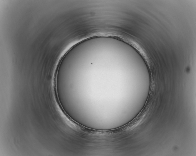 X0000097910803200803141028