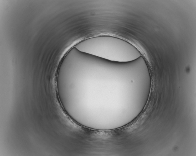 X0000097910806200803141028