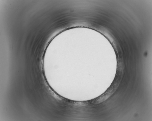 X0000097910807200803141028