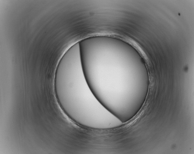 X0000097910810200803141028