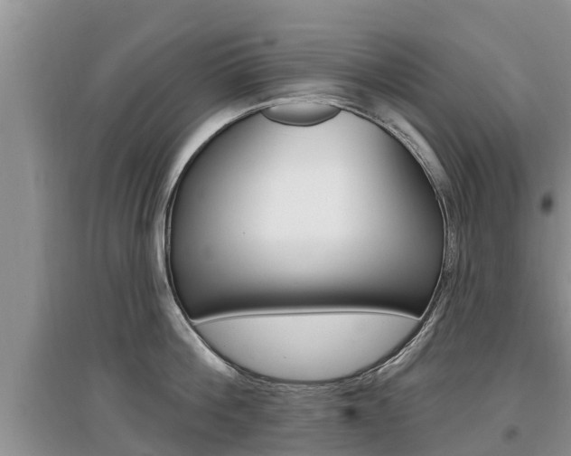 X0000097910812200803141028