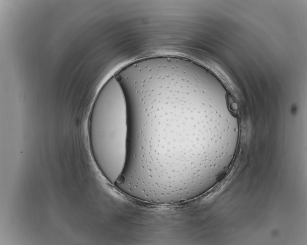 X0000097910814200803141028