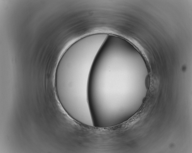 X0000097910815200803141028