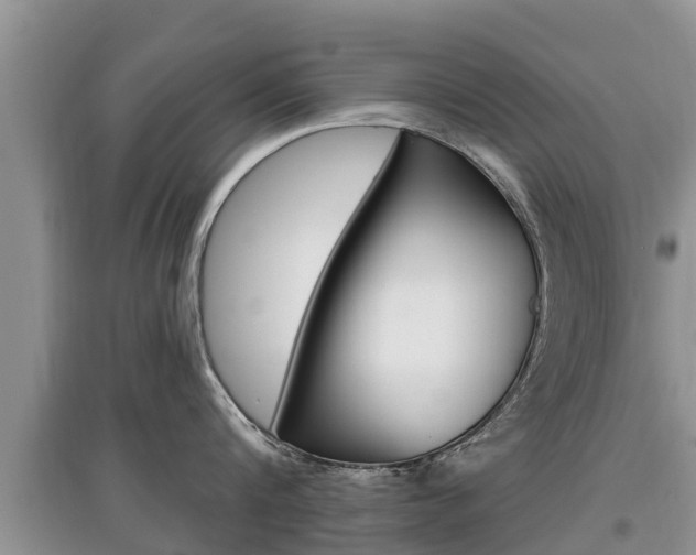 X0000097910816200803141028