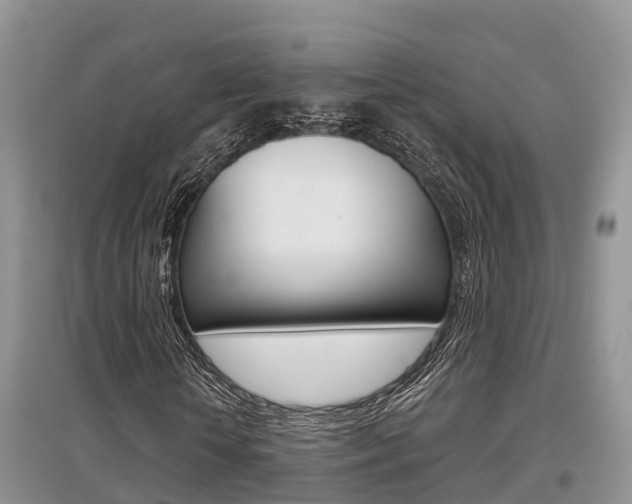 X0000097910818200803141027