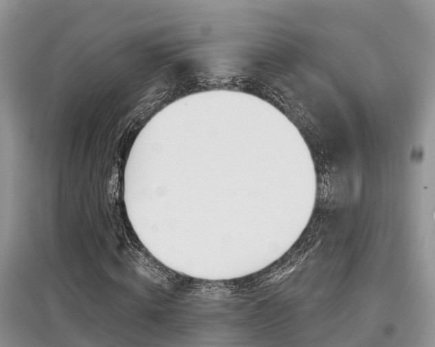 X0000097910820200803141027