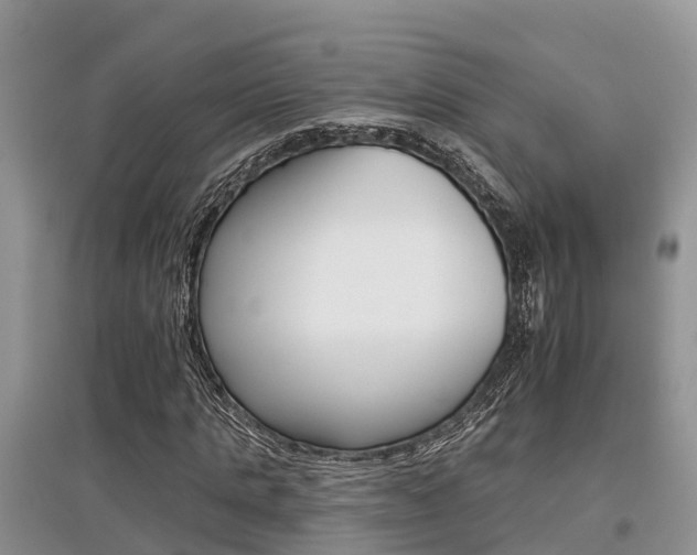 X0000097910821200803141027